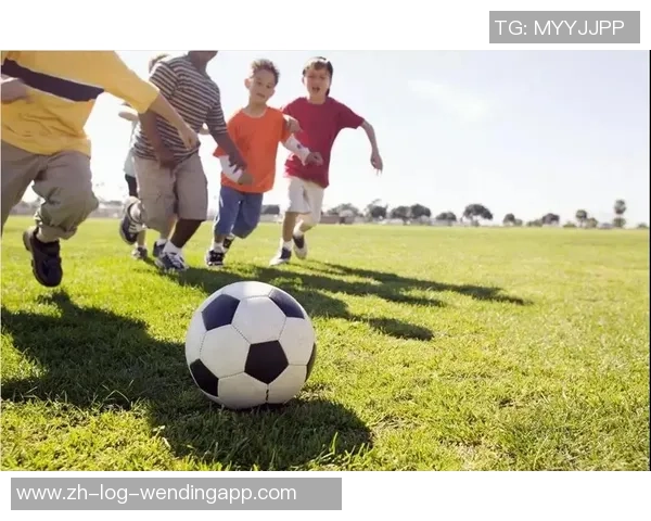 足球边款的魅力与影响力探讨：从球场到生活的多重视角分析